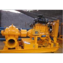 Disel Engine Double Suction Irrigation Water Pump